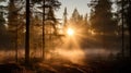 Stunning Uhd Image: Nikon D850 Captures Misty Forest Sunrise