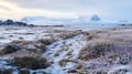 Arctic Sea Ice: Meadow Of Huntington Beach Amidst Snow Covered Grass