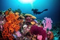 A stunning, underwater image of a scuba diver exploring a colorful coral reef, surrounded by a variety of marine life and crystal- Royalty Free Stock Photo