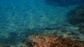 Stunning underwater scape view, Aegean Sea, Greece, Halkidiki
