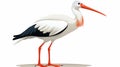 Elegant White Stork Clip Art With Biomorphic Style And White Background Royalty Free Stock Photo