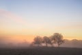 Stunning vibrant Autumn foggy sunrise English countryside landscape image