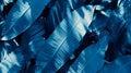 Vibrant Blue Tropical Banana Leaves Texture Good Resolution Stock Photo Royalty Free Stock Photo