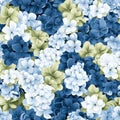 Stunning and vibrant hydrangea flower blossoms in full bloom, viewed from the top perspective Royalty Free Stock Photo