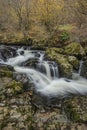 Stunning vibrant landscape image of Aira Force Upper Falls in Lake District during colorful Autumn showing Royalty Free Stock Photo