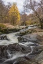 Stunning vibrant landscape image of Aira Force Upper Falls in Lake District during colorful Autumn showing Royalty Free Stock Photo