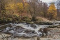 Stunning vibrant landscape image of Aira Force Upper Falls in Lake District during colorful Autumn showing Royalty Free Stock Photo