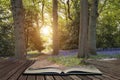 Stunning vibrant landscape image of blubell woods in English countryside in Spring concept coming out of pages in open book