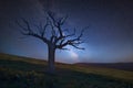 Vibrant Milky Way composite image over landscape of Beautiful field of rapeseed Royalty Free Stock Photo