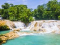 Agua Azul waterfalls in the lush rainforest of Chiapas, Mexico Royalty Free Stock Photo
