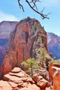 Stunning view on Angel`s Landing trail in Zion National Park Royalty Free Stock Photo