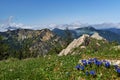 Stunning view of the Bavarian Alps with vibrant blue gentian flowers in the foreground