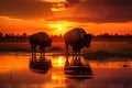 Stunning view of buffaloes grazing serenely in the golden african savannah at sunset Royalty Free Stock Photo