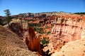 Stunning view into the canyon along the Queen`s Trail in Bryce Canyon National Park