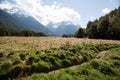 Stunning view of a meadow near Milford Sounds Royalty Free Stock Photo