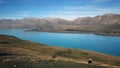 A stunning view of milky-turquoise blue Lake Tekapo from the summit of Mount John in New Zealand during autumn.