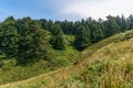 Stunning view of the pacific northwest coastline from Cape Disappointment state park Washington USA. Royalty Free Stock Photo