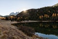 Stunning view of the Palpuogna lake near Albula pass with golden trees in autumn Royalty Free Stock Photo