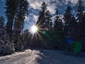 View of path in deep snow leading through forest with snow-covered trees on sunny day with bright sun. Royalty Free Stock Photo