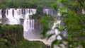 Stunning view of roaring waterfalls at Iguazu national park