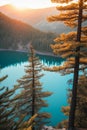 Sunrise Overlook of Turquoise Blue Lake and Pine Trees