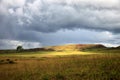 Stunning view to savanna under stormy cloudy sky Royalty Free Stock Photo