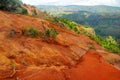 Stunning view into Waimea Canyon, Kauai Royalty Free Stock Photo