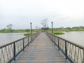 Stunning view of Walkway on sunny day