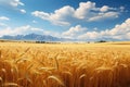 A stunning view of a wheat field with majestic mountains in the background, Golden wheat field landscape view on a sunny day, AI Royalty Free Stock Photo