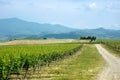 Stunning view of wineyards and farmlands with small villages on the horizon. Tuscany, Italy