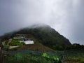 Stunning views of Kinnakorai Mountain valley In Tamilnadu, India. Royalty Free Stock Photo