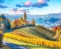 Stunning vineyards landscape in South Styria near Gamlitz Royalty Free Stock Photo