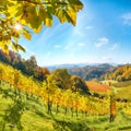 Stunning vineyards landscape in South Styria near Gamlitz Royalty Free Stock Photo