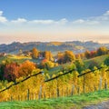 Stunning vineyards landscape in South Styria near Gamlitz Royalty Free Stock Photo