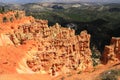Panoramic View of Hoodoos and Pine Forests from Rainbow Point, Bryce Canyon National Park, Utah, USA Royalty Free Stock Photo
