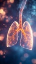 A stunning visualization of the human respiratory system, highlighting the delicate structure of the lungs. for scientific Royalty Free Stock Photo
