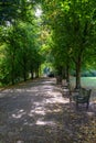 A stunning walkway inside the park Hampstead heath UK