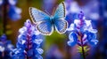 Vibrant Blue Butterfly Perched On Colorful Flowers