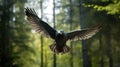 High-speed Pigeon Flight Through Forest: Daz3d Style Uhd Image