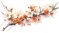 Stunning Watercolor Apricot Blossom from Armenia. Royalty Free Stock Photo