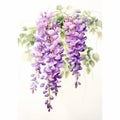 Luxurious Watercolor Drawing Of Purple Wisteria Bouquet