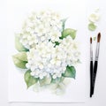 Botanical Watercolor Painting: White Hydrangea On White Background