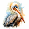 Colorful Watercolor Pelican Illustration On White Background Royalty Free Stock Photo