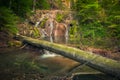 Stunning waterfall with wooden log Royalty Free Stock Photo