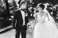 Stunning wedding couple walks along the pass in park