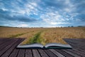 Stunning wheat field landscape under Summer stormy sunset sky co Royalty Free Stock Photo