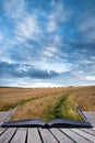 Stunning wheat field landscape under Summer stormy sunset sky co Royalty Free Stock Photo