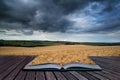 Stunning wheat field landscape under Summer stormy sunset sky co Royalty Free Stock Photo