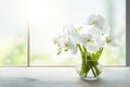 Stunning White Orchid Flower Arrangement in Sunlit Glass Vase. Royalty Free Stock Photo