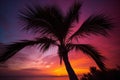 Tropical Sunset Silhouette: Palm Tree Against Golden Sky